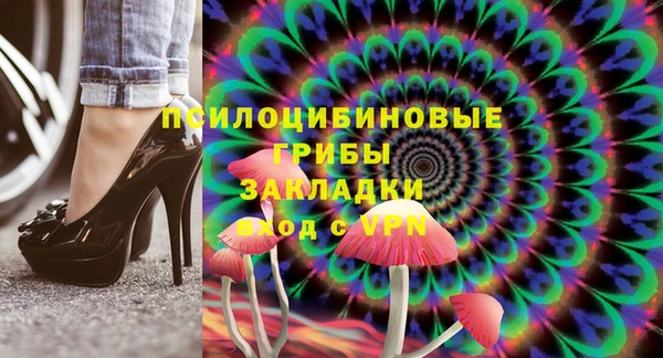 дмт Михайловск