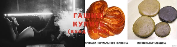 PSILOCYBIN Навашино