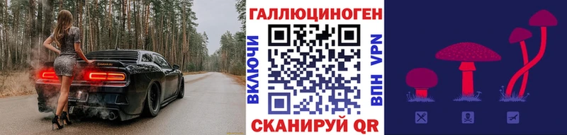 Псилоцибиновые грибы Psilocybe  Купить  Армянск 